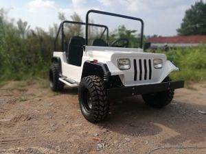 [Hot Item] 200cc Petrol Racing Vehicle Kart 2 Seat Mini Jeep Willys for Sale
