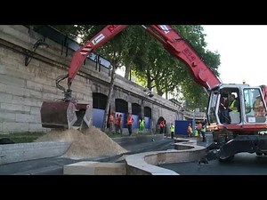Paris sets up 'green' summer beach along the River Seine