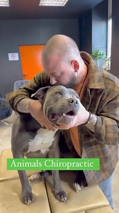 I love this job ♥️ | Animal chiropractor, osteopath & healer