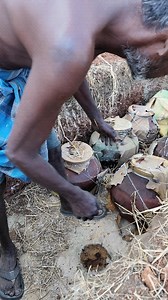 78K views · 13K reactions | Single clove Garlic soaked in kombu honey ❤️ | Natureshadow.com | Facebook