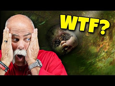 What Do Milwaukee Sewer Cameras See?