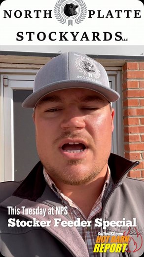Seth at North Platte Stockyards with what’s upcoming at the NPS September 19th on CattleUSA.com  Stocker Feeder Special UPCOMING September 26th Regular Sale & Horse Sale www.northplattestockyards.com for more info #hotbarnreport #cattleusa #diamonddozen #truepricediscovery #usabeef #salebarn #cattle #sellatauction #Livestock | Hot Barn Report | Facebook