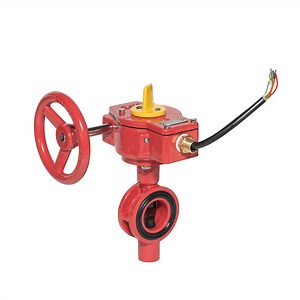 [Hot Item] Fire Protection Valve with Tamper Switchs