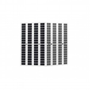 [Hot Item] Módulo PV Bifacial Transparente Raytech 360W 370W Panel Solar para Invernadero Doble Cara