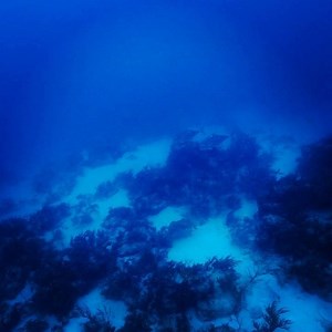 Now imagine yourself tangled in your float line at the surface because it’s blowing 30 knots and I’m waving you down... Frustrating but the client above me made the wise decision not to dive knowing a shot would be a 100% clusterFck and likely drown him. Situational awareness and always knowing where your float line is, is one of the most important aspects of safe diving. You’ll get another chance to shoot fish. #livetodiveanotherday #isispropergrammar? #africanpompano | Cameron Kirkconnell