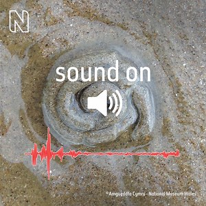 4.4K views · 52 reactions | Were you one of those surprised by the truth behind those squiggles in the sand? We chatted to the Amgueddfa Cymru Senior Marine Curator to learn a little more about the 'earthworms of the beach'. | Natural History Museum, London | Facebook