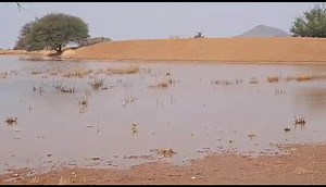 #Watch While weather experts predicted that Namibia would only receive rain towards the end of September, several areas in the south have received some a bit of rain. This clip was taken at Plaas Naub, north of Rehoboth where between 18 to 25mm fell this week. VIDEO contributed | Windhoek Express