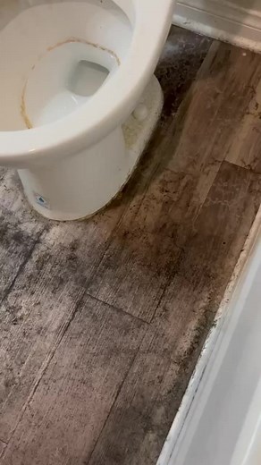 538K views · 3.4K reactions | Flat mops > spin mops/bucket in my opinion. #cleaning #floorcleaning #howtoclean #moproutine #facebookreels2022 | Tidy Trojans Cleaning Co. | Facebook