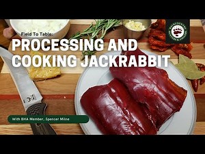 Field To Table: How To Hunt, Process and Cook Jackrabbit