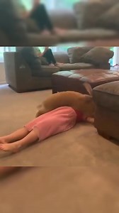 Jack rabbit#animal #cute | Happy Stories