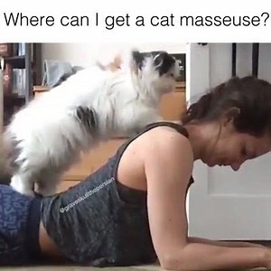 2.8K views · 103 reactions | PetCloud on Reels | Facebook