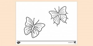 Small Butterfly Colouring Page