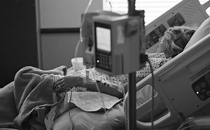 Sarah Palin on Reels