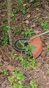 FORESTER Brush Blade https://amzn.to/43aeRfw #diy #How #landscape | Pew Brothers Inc.