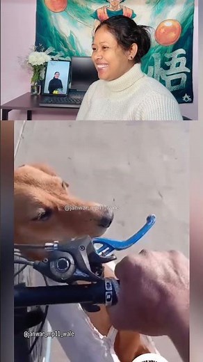 Dogesh bhai ko kya dhaniya pudina samjha? #funnydogs #dogeshbhai #viralshorts