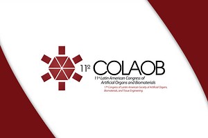 INFLUENCE OF PHASES PRECIPITATION IN Î²-METASTABLE TI-12MO-XNB ALLOYS