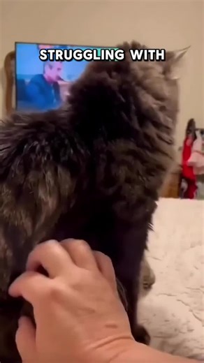 AMERICAN CAP STORE on TikTok