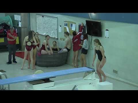 Peters Township High School Swimming and Diving vs. Moon - December 9, 2019