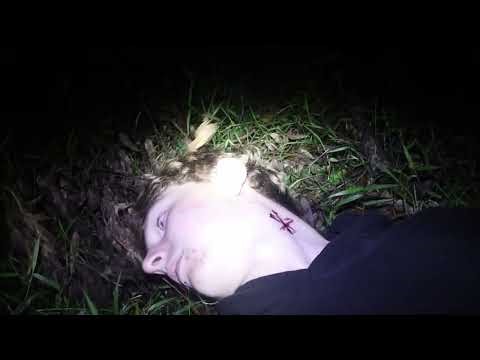 Feast - 2025 Trailer/Commercial Runner-up