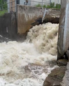 6.4K views · 13 reactions | Same location. July 6, 2024 Michigan Department of Environment, Great Lakes, and Energy Michigan Department of Natural Resourcesl | True North Trout | Facebook