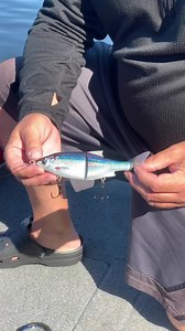 31 reactions | @dknolan tests out the Savage Gear 3D Shine Glide gearing up for the fall #savagegearamericas #pikefishing #muskyfishing #fishing https://www.savagegear.com/3d-shine-glide-1587301 | Savage Gear Americas | Facebook