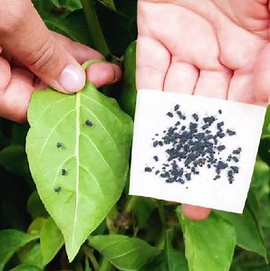 2.3M views · 3K reactions | These are the smartest ways to use sticky tape! | 5-Minute Crafts Teens | Facebook