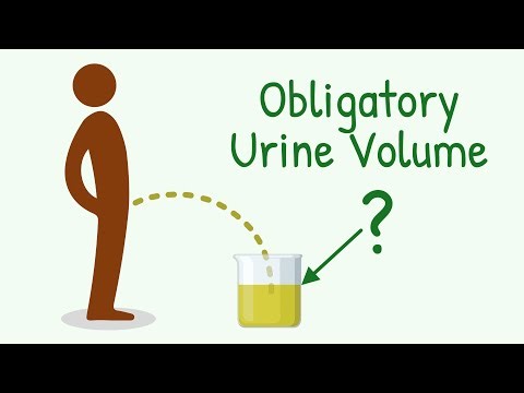 You MUST PEE at Least THIS Much! A Technical Answer by a Doctor | Obligatory Urine Volume