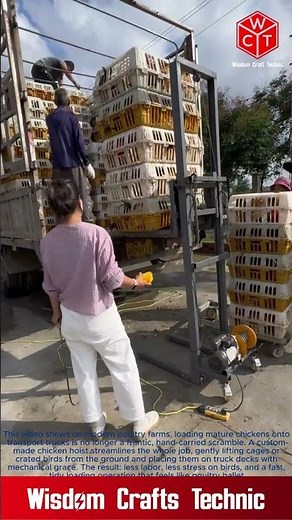 Custom-Made Chicken Hoist Speeds Up Farm Work:Efficient Poultry Farm Logistics Loading Chickens onto