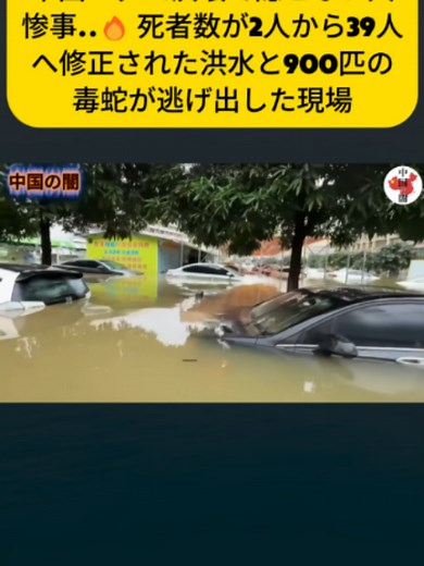 中国・ダム決壊で隠せない大惨事..5#中国 #中国経済 #中国崩壊