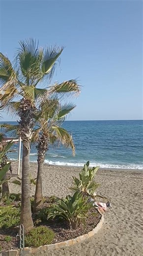 O tanti romaneasca, l-a zapacit pe sosul sau izbitul ei cu niste poze. Ala statea si se uita siderat la ea, cum se cracaneaza, cum isi tuguie buzele, cum sta pe varfuri, cum se invarte, cum sta cu mainile in sus, ca avionul, ca tirbusonul, ca parasuta, cum ea se fotografía in miscare, cu spatele, cu pletele in sus, in vant, aplecata... Stateam la o cafea si erau fix in fata mea, tot spectacolul asta caraghios l-am vazut fara sa vreau, dar a fost simpatic, m-am amuzant copios mai ales la sfarsit 