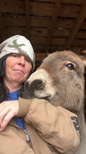 A little bit of my time with Barney and Betty. Betty is a loud like me! Not a bad thing.🤣 #reels #onehappyassfarm #barney #bettylou #mentalhealth #therapy #donkeys #therapysession #loud | One Happy Ass Farm