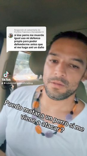 22 reactions · 3 comments | Respuesta a @Porfirio Francisco Hernández G que opinas? #amor #bienestaranimal #federacioncaninacr #adiestramientobasadoenbienestaranimal #acancr #viralvideo #defensaanimal | Federación Canina de Costa Rica ACAN | Facebook