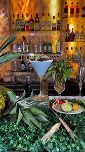 Cheers to a Riviera Maya vacation! 🐠 📍 Grand Oasis Tulum Riviera #AdultsWithChildren #OasisLovesU | Oasis Hotels & Resorts