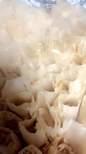 This week 10/23-10/29. 608 Williams Blvd will only be open from 11-3 instead of 11-7. If you would like a order for the evening. Please order in advance online or via phone 509 551-1110. Thank you for understanding! | Eat Hot Tamales