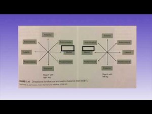Star Excursion Balance Test