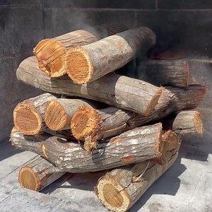 And we’re off. Happy National Braai Day! | Jan Braai