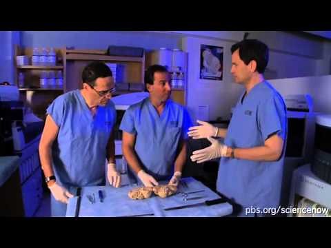 Unravelling Bolero| NOVA scienceNOW