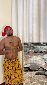 65K views · 2.8K reactions | Nigeria Has Everything Tanzania Has And Even More, But Why Is Our Own Not Working We Paid About N40,000 To Snap With Tortoise Why??? | Mc Mbakara | Facebook