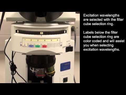 Basics of Fluorescence Microscopy