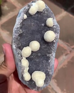 Amazing Botryoidal Okenite Spheres on Amethyst Matrix Available! USD 100 (Free Shipping) Message Us Now #minerals #mineral #crystal #crystals #okenite #rareminerals #mineralspecimens #mineralspecimen #matrix #quartzcrystal #rocksandminerals #botryoidal #quartz #mineralcollecting #mineralcollection #mineralcollector #mineralogy #mineralporn #crystalporn #crystalshop #mineralshop #crystalcollection #crystalcollector #geology #geologist #gargotimuseum #nashik #pune #mumbai | Gargoti The Mineral Mus