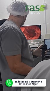 Endoscopia Veterinária 喙 Paciente canino foi encaminhado para...