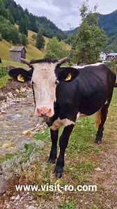 Borsa Maramures #maramures #travel #romania | visit-ro.com