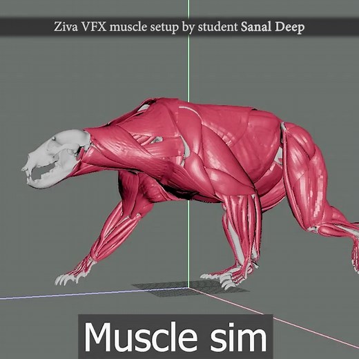 Ziva VFX muscle simulation by Puppeteer Lounge student Sanal Deep. Learn more: https://puppeteerlounge.com/rigging-workshop | Puppeteer Lounge