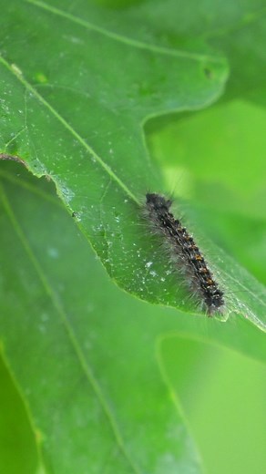 6.5K views · 57 reactions | Well, folks ... it's looking like it's...