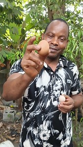 Benefits of being local | Jolly Odometa