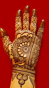 4.3K views · 119 reactions | Half mandala pattern beautiful mehndi design for brides #henna #mehndi #artwork #mehndidesign #hennalove #bridalmehndi #viralvideo #weddingspecial #weddingmehndi #viralpost #easymehndi #simplemehndi #arabicmehndi #mehedi #easymehndi #floralmehndi #mehediart #semibridalhenna #semibridalmehendi #uniquemehndi #elegant #Beautifull #designs #arts #mehendiart #halfmandala | Mehndi Vibes | Facebook
