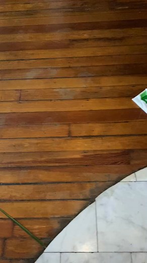 Y’all been sending me so many videos of dogs tearing up houses y’all jinxed me dammit | Marlon J Sawah Faire