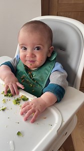 26K views · 477 reactions | BLW Broccoli | Eating Bird Food #babyledweaning #babyboy #babyledweaningideas | Eating Bird Food | Facebook