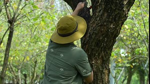 Boundless Voyage Camping Hammock Double Person Hammock with 2 Tree Straps & Carabiners Camping Accessories for Outdoor, Indoor, Backpacking, Travel, Beach, Backyard, Patio BV1033 (Blue)