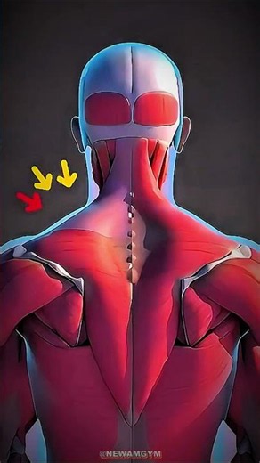 5-Minute Neck and Shoulder Mobility 🧘